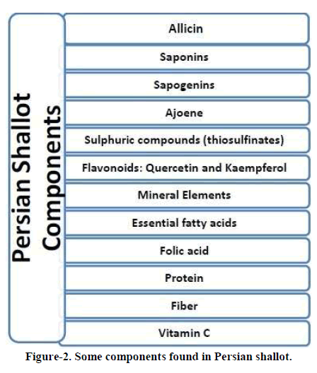 european-journal-of-experimental-biology-Persian-shallot