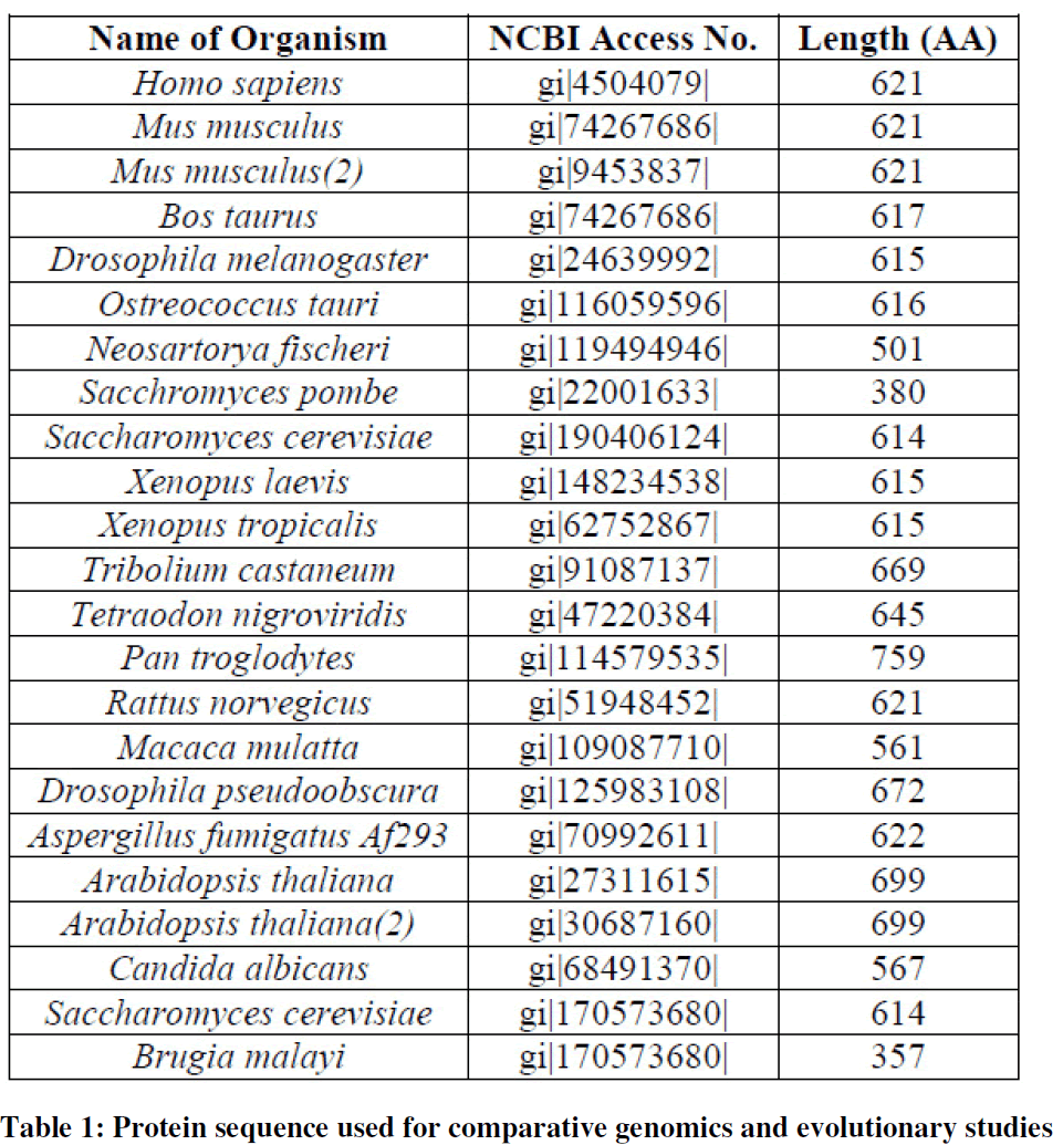 european-journal-of-experimental-biology-Protein-sequence