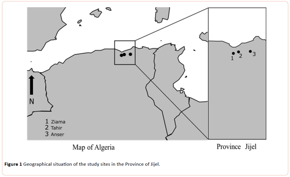 european-journal-of-experimental-biology-Province-Jijel