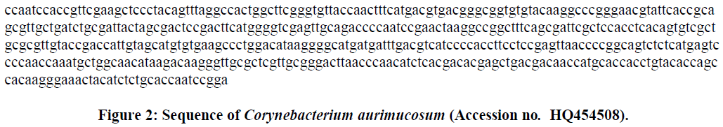 european-journal-of-experimental-biology-Sequence