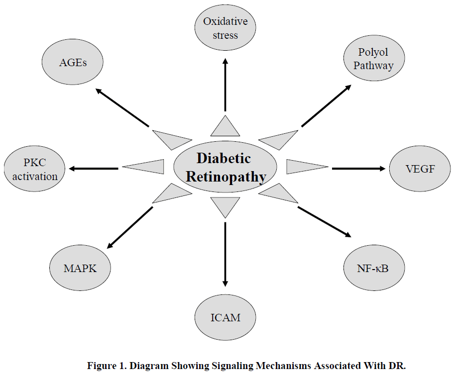 european-journal-of-experimental-biology-Showing-Signaling