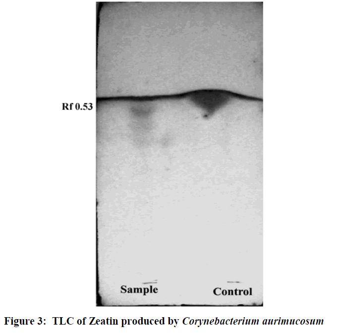 european-journal-of-experimental-biology-Zeatin-produced