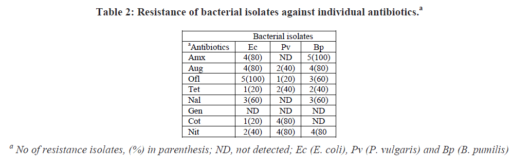 european-journal-of-experimental-biology-bacterial-isolates