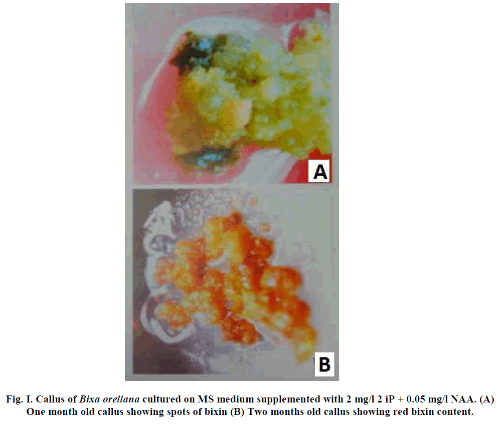 european-journal-of-experimental-biology-bixin-content