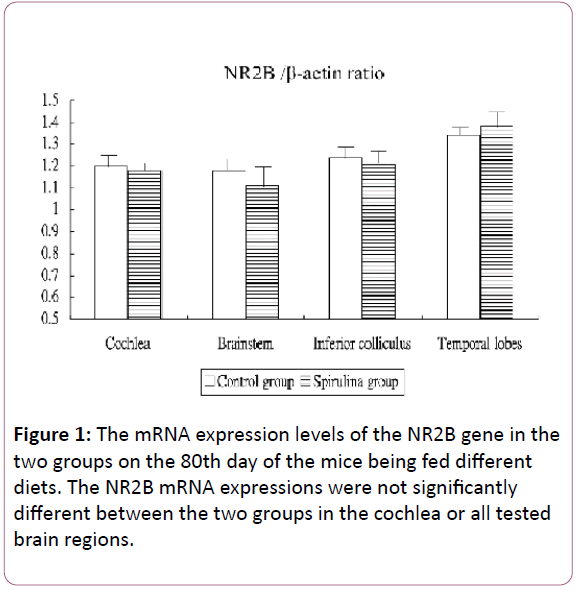 european-journal-of-experimental-biology-brain-regions