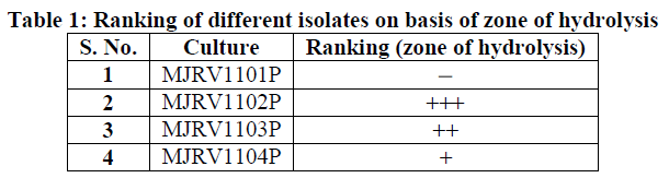 european-journal-of-experimental-biology-different-isolates