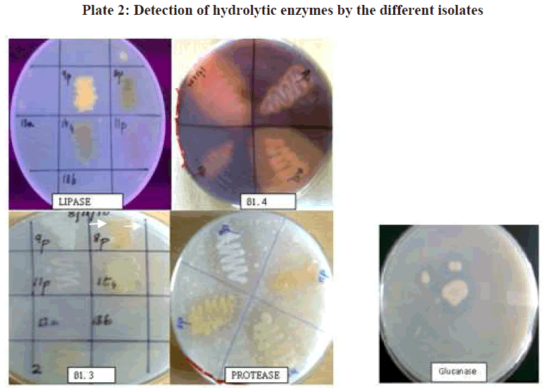 european-journal-of-experimental-biology-different-isolates