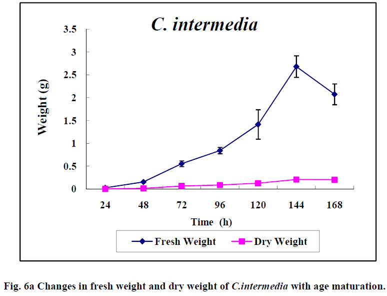 european-journal-of-experimental-biology-dry-weight