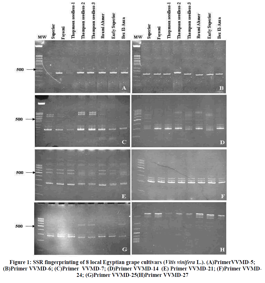 european-journal-of-experimental-biology-fingerprinting