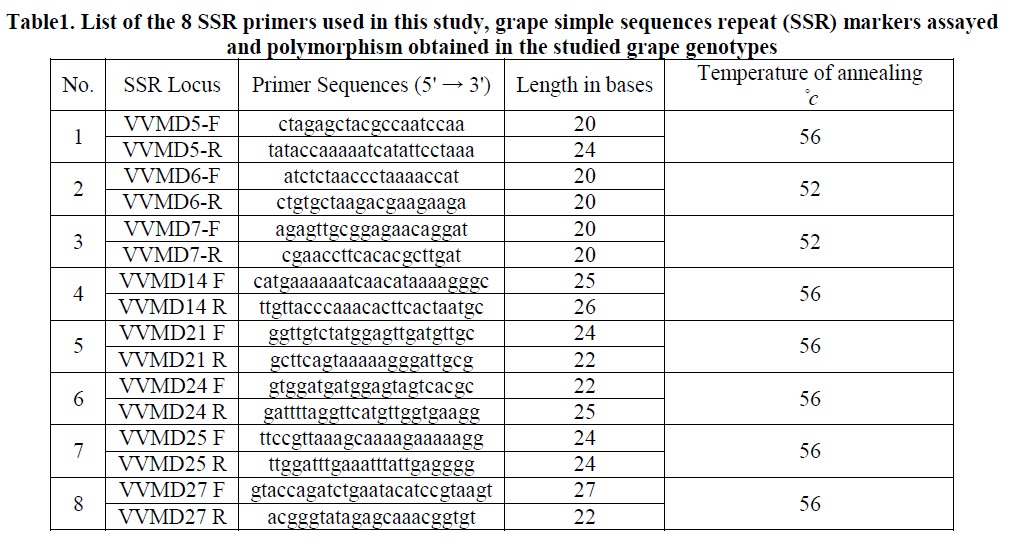 european-journal-of-experimental-biology-grape-simple