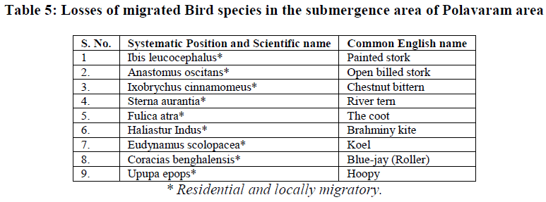 european-journal-of-experimental-biology-migrated-Bird