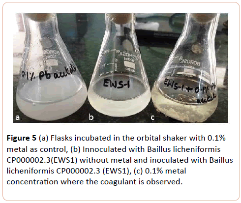 european-journal-of-experimental-biology-orbital-shaker