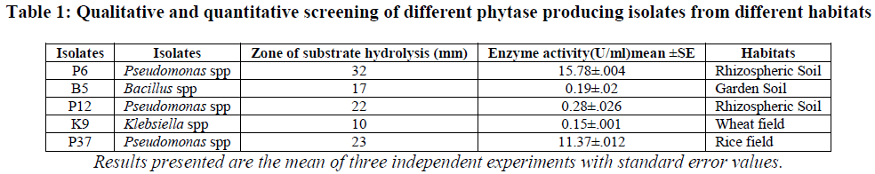 european-journal-of-experimental-biology-phytase-producing