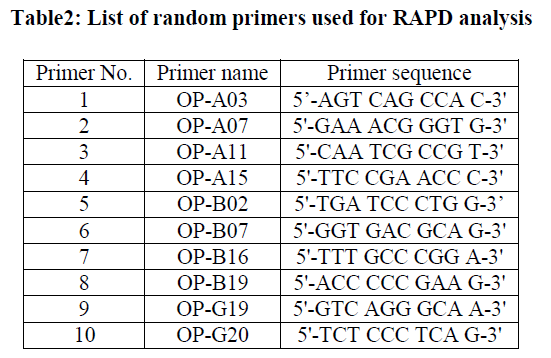 european-journal-of-experimental-biology-random-primers