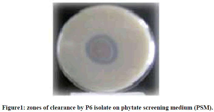 european-journal-of-experimental-biology-screening-medium