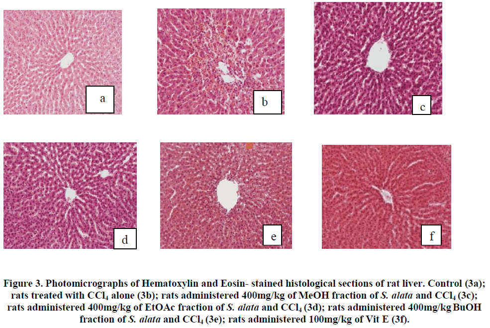 european-journal-of-experimental-biology-stained-histological