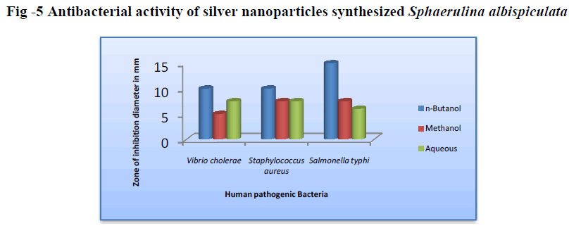 european-journal-of-experimental-biology-synthesized