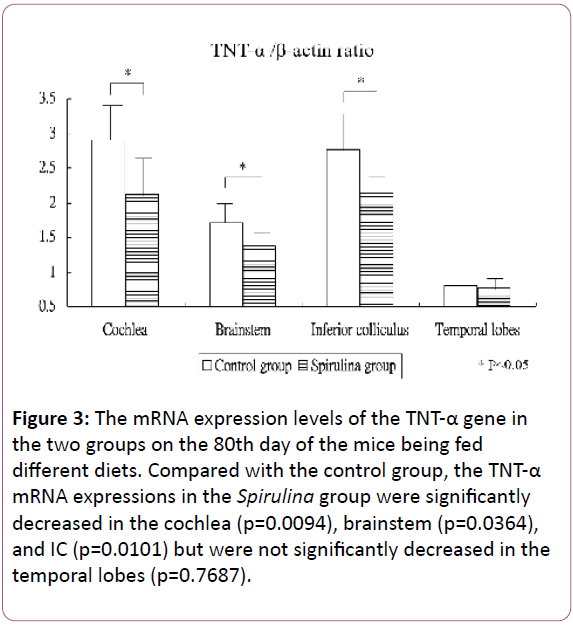 european-journal-of-experimental-biology-temporal-lobes