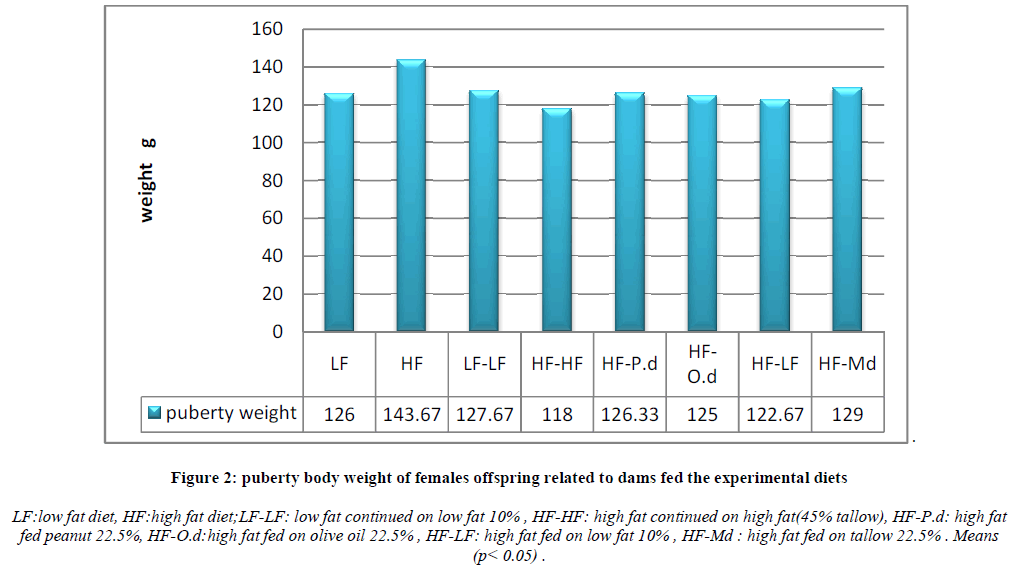 european-journal-of-experimental-body-weight