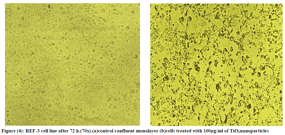 european-journal-of-experimental-cells-treated