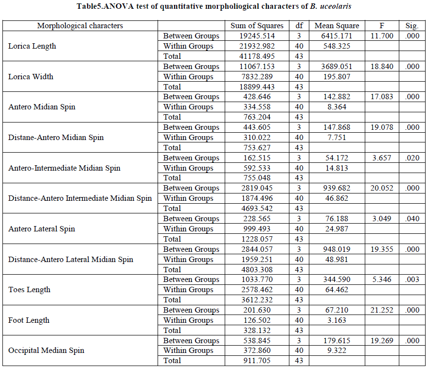 european-journal-of-experimental-characters