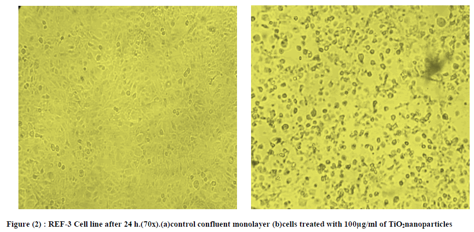 european-journal-of-experimental-control-confluent