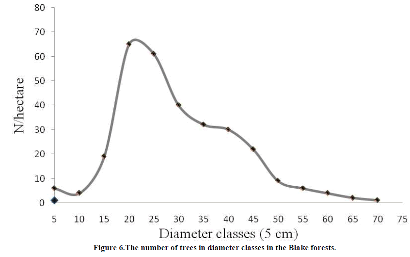 european-journal-of-experimental-diameter-classes
