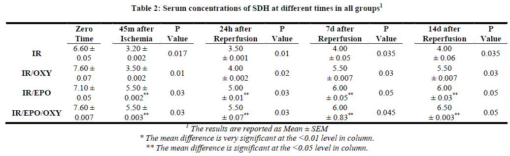 european-journal-of-experimental-different-times