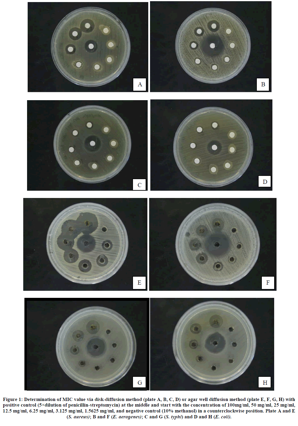 european-journal-of-experimental-disk-diffusion