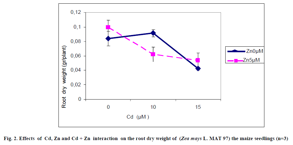 european-journal-of-experimental-dry-weight