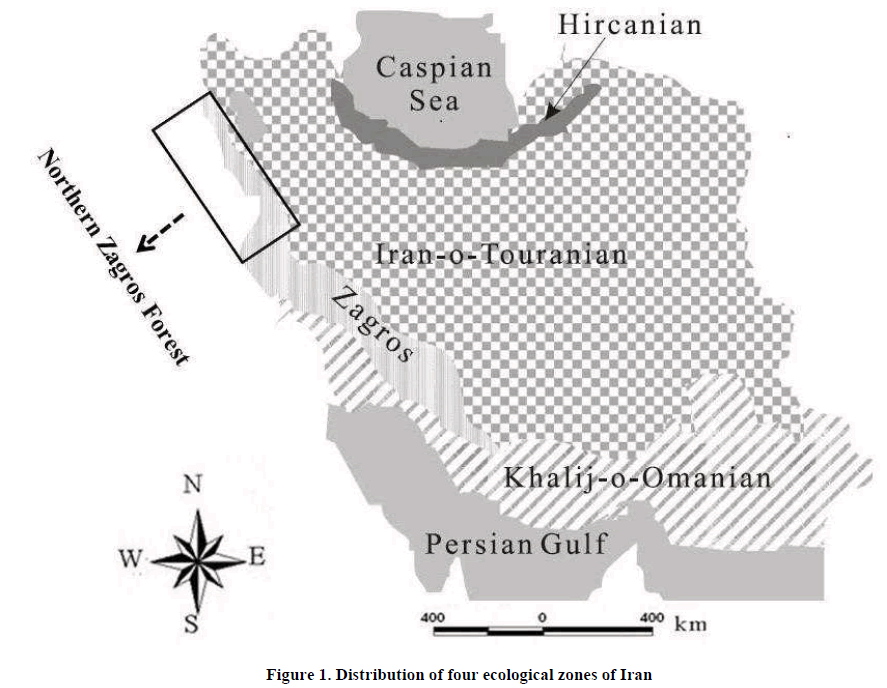 european-journal-of-experimental-ecological-zones