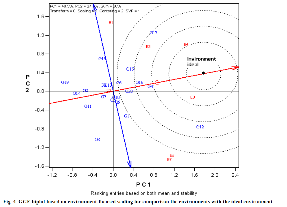 european-journal-of-experimental-environment-focused