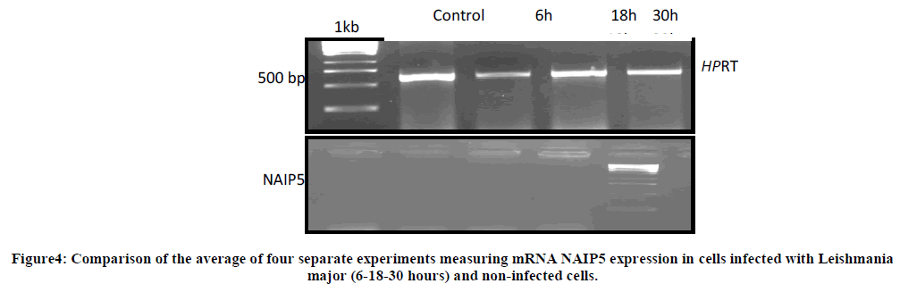 european-journal-of-experimental-experiments-measuring