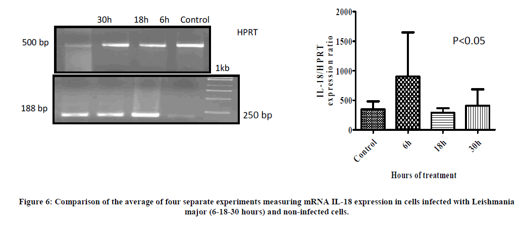 european-journal-of-experimental-experiments-measuring