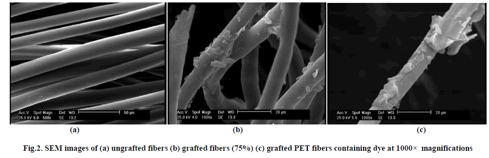 european-journal-of-experimental-grafted-fibers