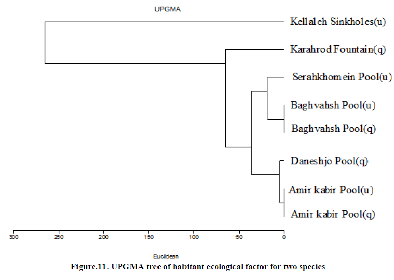 european-journal-of-experimental-habitant