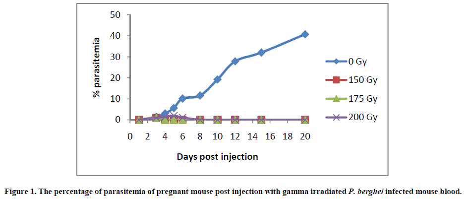 european-journal-of-experimental-infected-mouse-blood