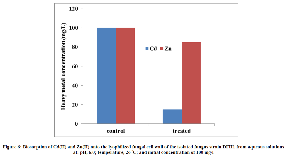 european-journal-of-experimental-lyophilized-fungal