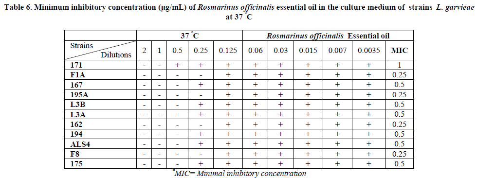 european-journal-of-experimental-medium-strains