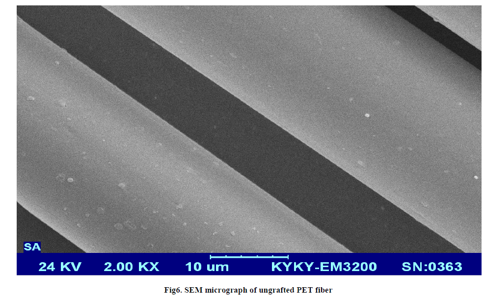 european-journal-of-experimental-micrograph