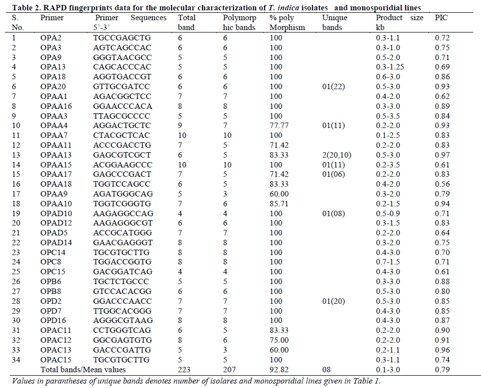 european-journal-of-experimental-molecular-characterization