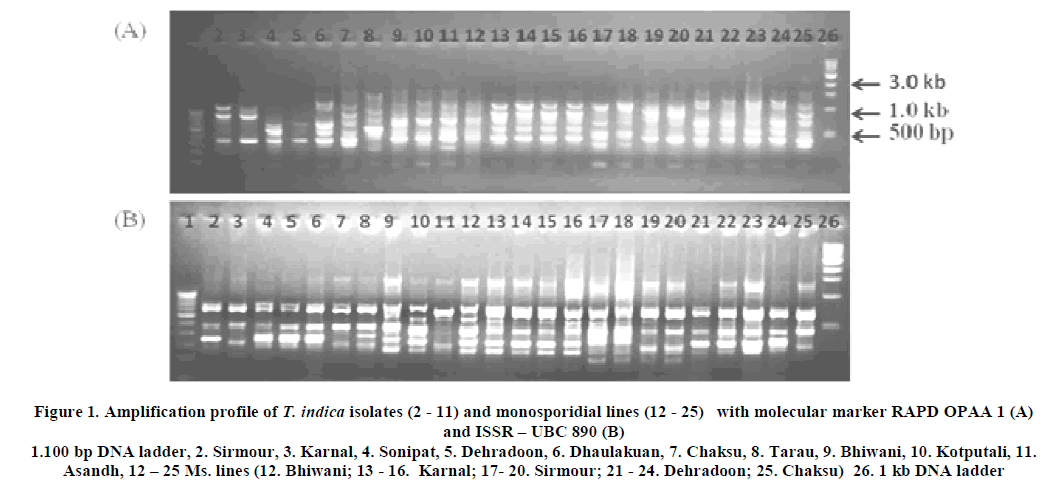 european-journal-of-experimental-molecular-marker