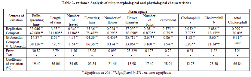 european-journal-of-experimental-morphological