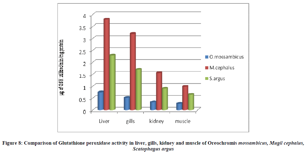 european-journal-of-experimental-muscle-Oreochromis