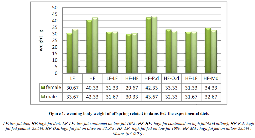 european-journal-of-experimental-offspring