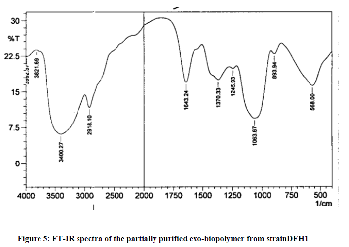 european-journal-of-experimental-partially-purified