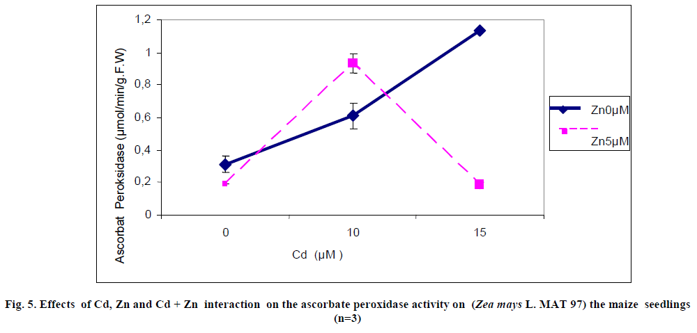 european-journal-of-experimental-peroxidase-activity