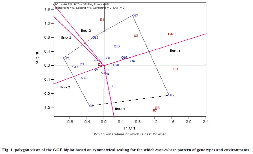 european-journal-of-experimental-polygon-views