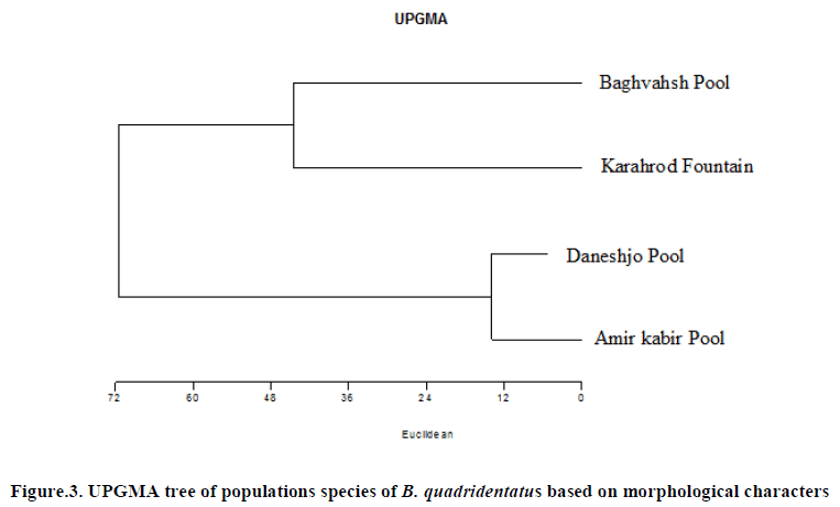 european-journal-of-experimental-populations