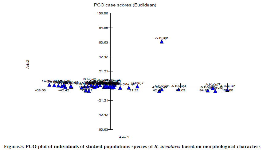 european-journal-of-experimental-populations-species